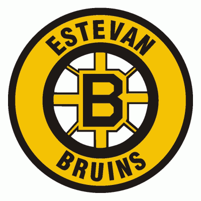 Estevan Bruins 1999-Pres Primary Logo iron on transfers for T-shirts